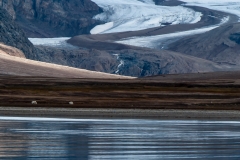 A-walk-at-the-glacier